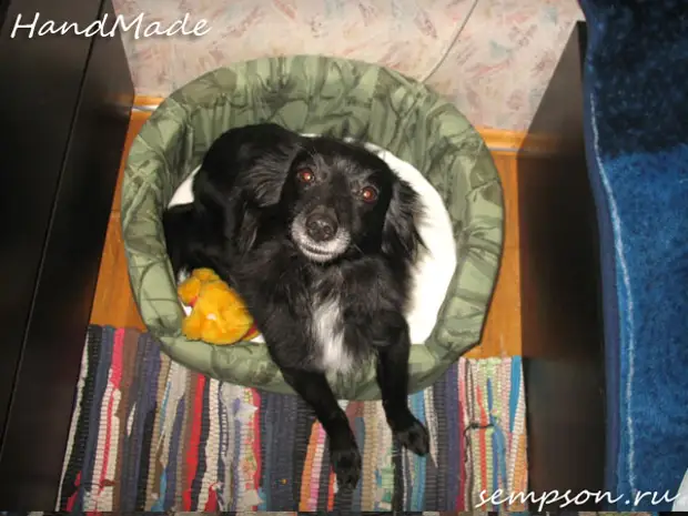 9_bd (600x450, 95Kb)