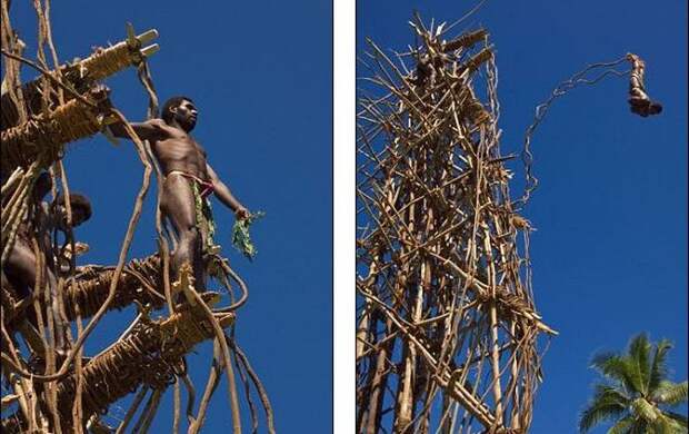 Земля Дайвинг (18 фото + видео) Land Diving (18 pics + video)