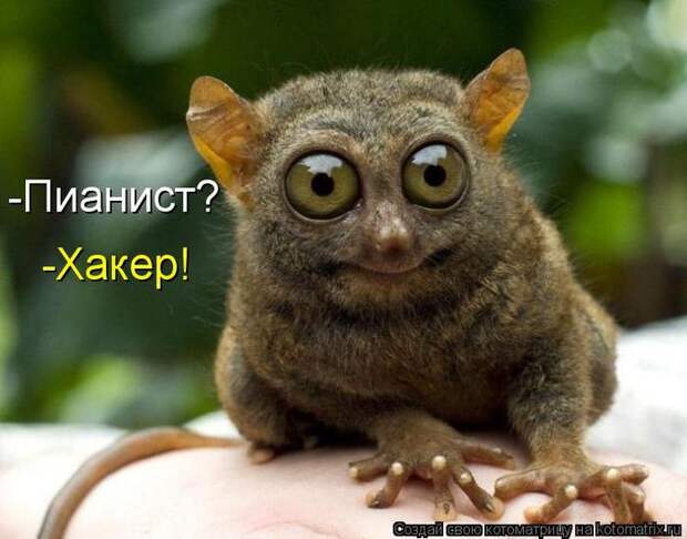 kotomatritsa_Tr (700x548, 50Kb)