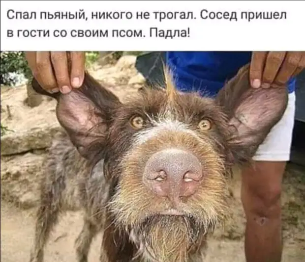 В каждой женщине природой заложено умение красиво стесняться и вызывающе скромничать В каждой женщине природой заложено умение красиво стесняться и вызывающе скромничать Вовочка, когда, понял, белый, отвешивает, почему, пришли, только, стране, обещал, Женский, алкоголизм, последний, мешает, тесто, блины, Кухня, подбегает, измазюкивает, чернокожих