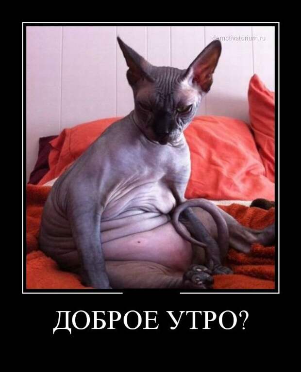 Демотиваторы бревно, демотиваторы, юмор