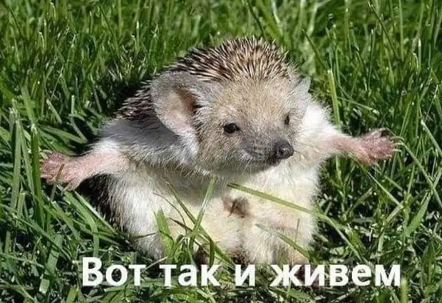 Если датский флаг совместить с английским, получится красное знамя Если датский флаг совместить с английским, получится красное знамя сортир, яблоню, сломал, пихнул, потом, магазин, простил, опять, давление, Сдача, приходит, начинаю, пульс, речку, сзади, Потом, вечером, когда, стоит, молодой