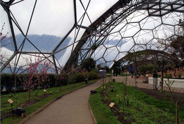 Самая большая теплица в мире The Largest Greenhouse 7 Самая большая теплица в мире
