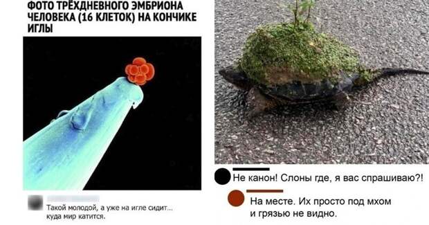 Учимся оставлять реально угарные комменты Учимся оставлять реально угарные комменты