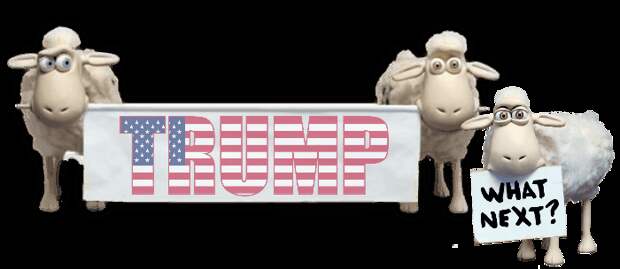 3996605_Trumpusa2 (700x304, 36Kb)