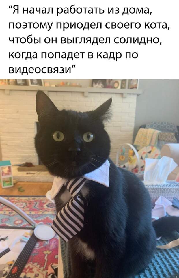 www.vsyako.net