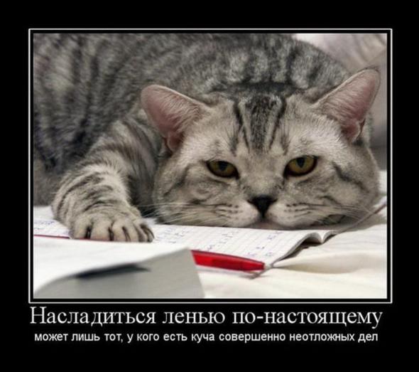 Демотиваторы со смыслом 31/05/11