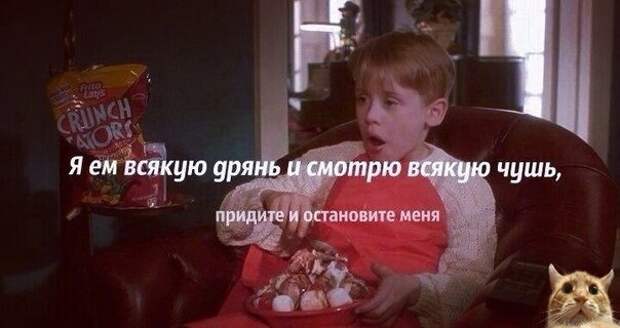 Прикольные и смешные картинки Прикольные и смешные картинки