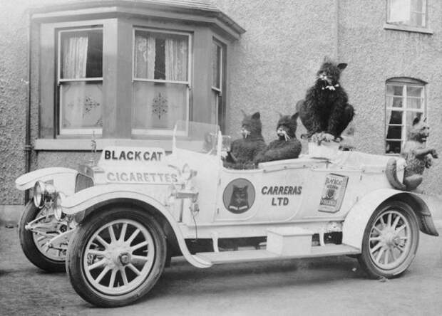 Реклама сигарет Black Cat, 1915 история, люди, мир, фото