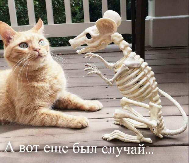 Случай