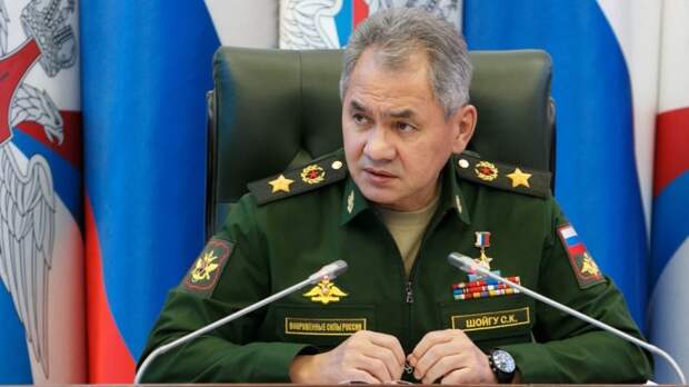Шойгу анонсировал запуск серийного производства боевых роботов в России