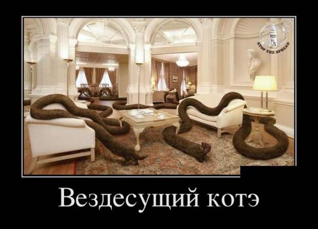 Демотиваторы (30 фото)