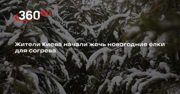 Жители Киева жгут новогодние елки, чтобы согреться в отсутствие отопления