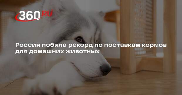 Экспорт российских кормов для животных в 2025 году достиг 256 млн долларов