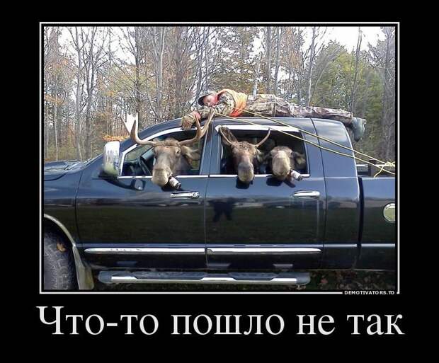 Снова демотиваторы!