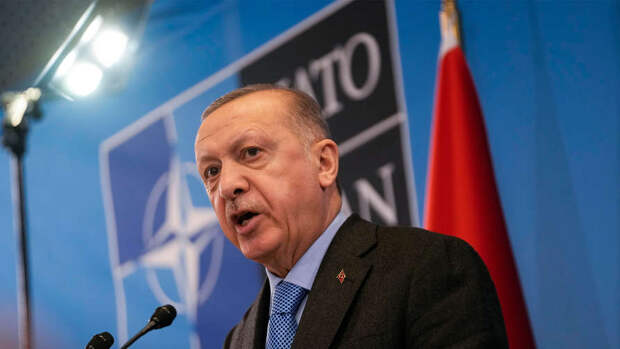 Эрдоган заявил, что Турция не поддержит вступление Финляндии и Швеции в НАТО