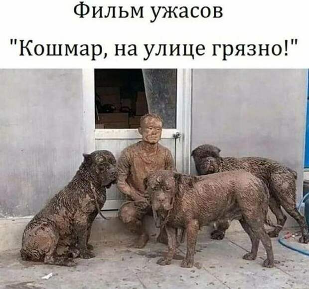 Лучшие свежие картинки с надписями (среда)