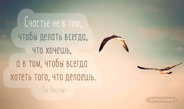 цитата о счастье Лев Толстой