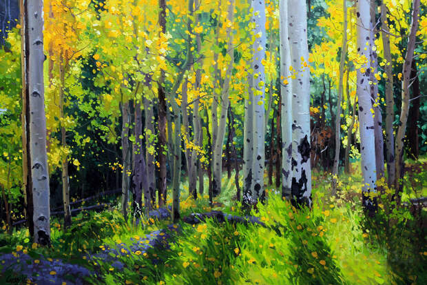 Gary Kim. Fall Aspen forest