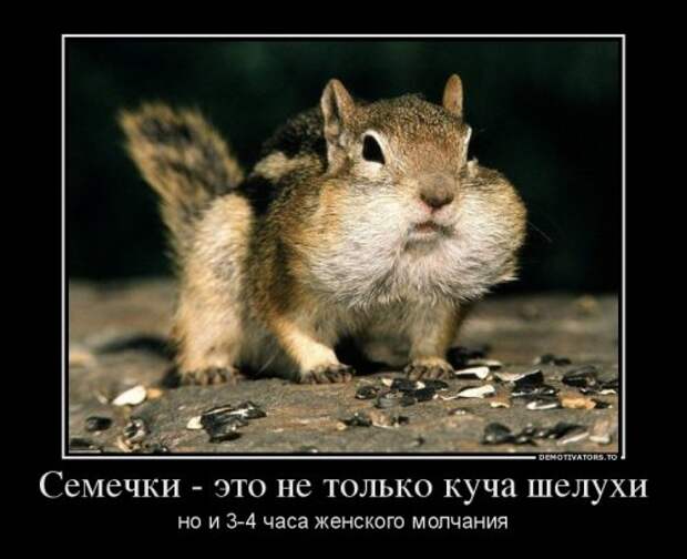 Сборник свежих демотиваторов (15 шт)