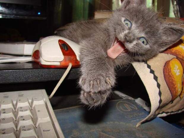 Давайте улыбаться вместе! :)