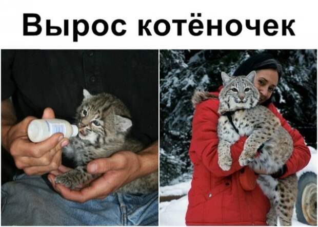 насобиралок пост