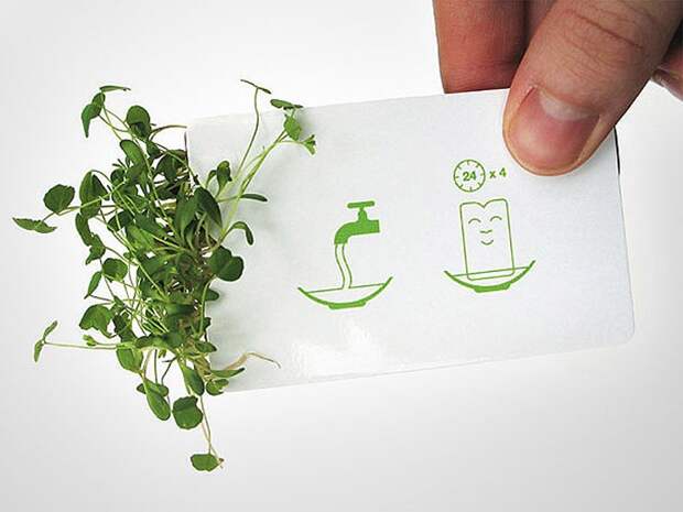 businesscards10 30 креативных визиток