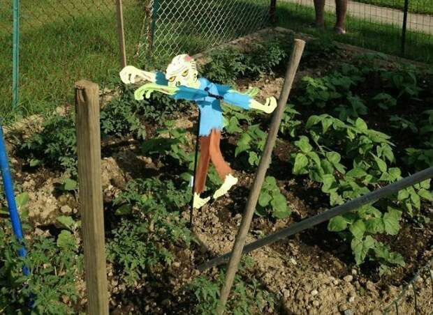 Соседи, которые могут удивить