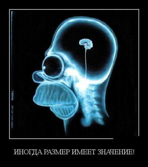 Сборник демотивационных приколов Сборник демотивационных приколов
