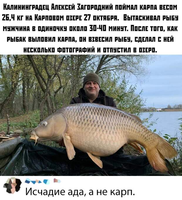 www.vsyako.net