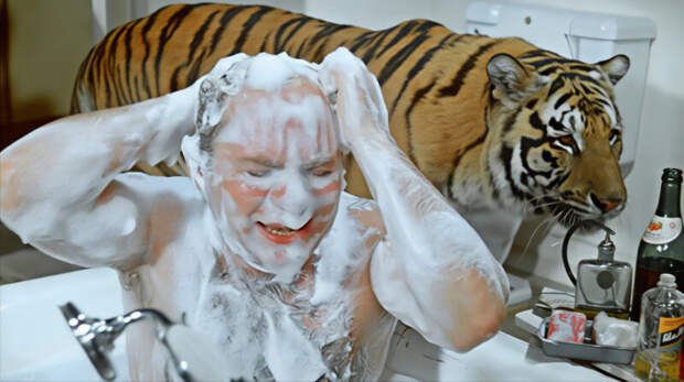 Кусок мяса под головой и сбежавший тигр: как снимали «Полосатый рейс»