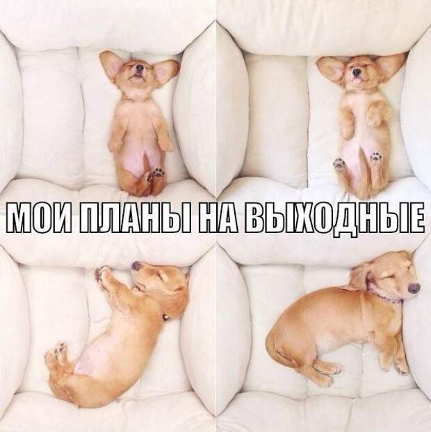 Картинки со смешными подписями