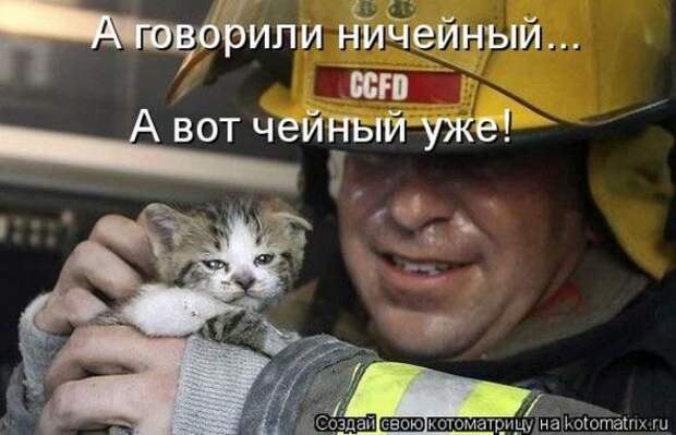 Котоматрицы(картинки с подписями)