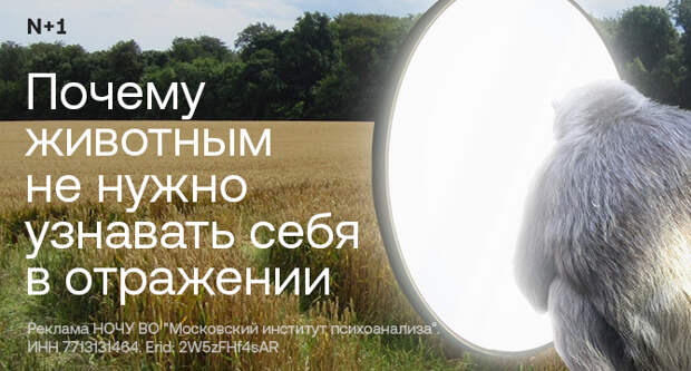 ДНК престолов. Почему первых польских князей заподозрили в иноземном происхождении