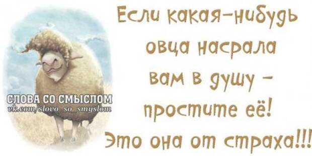 А ты сегодня улыбался...