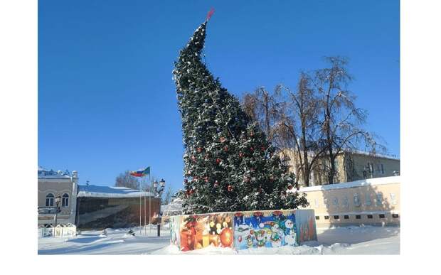 В касимовских соцсетях показали «усталую» ель