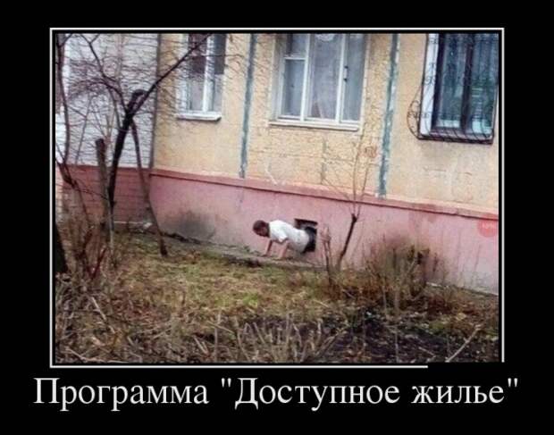 Демотиваторы Демотиваторы