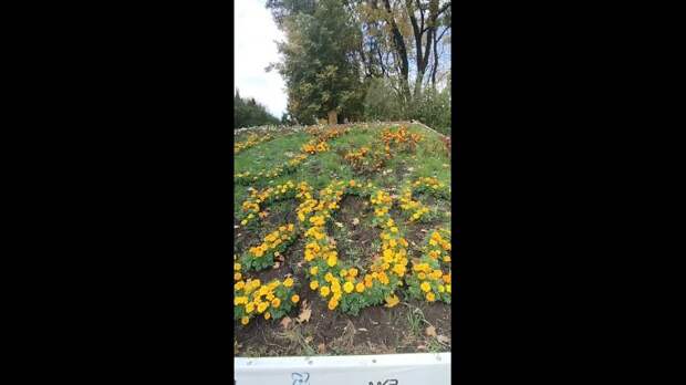 Video: Клип @donetskdnr_vk
