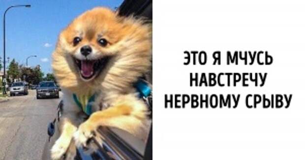 Люди тянутся друг к другу. Шли навстречу счастью. Радостный мир. Солнце и человек. Солнце радость.