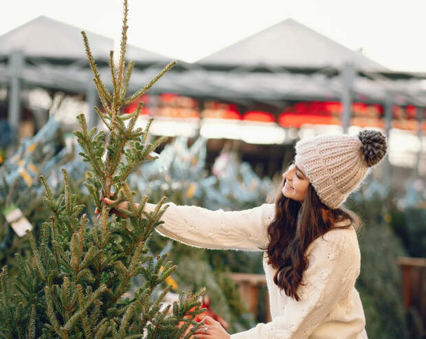 Ёлочные базары Новосибирска завершают сезон: каковы остатки и что будет с непроданными елками