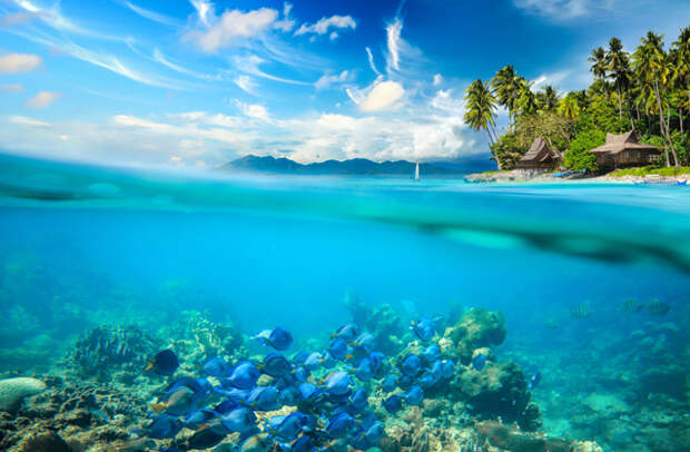 Самое глубокое море в мире: Филиппинское