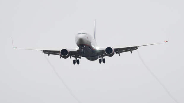 Самолет c трещиной на лобовом стекле приземлился в Шереметьево