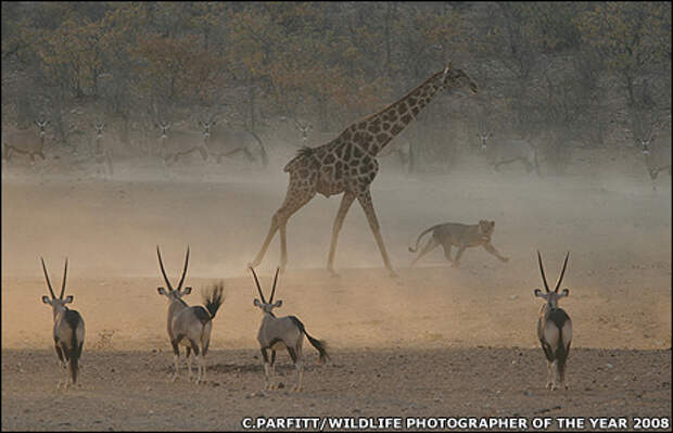 Просто Фото