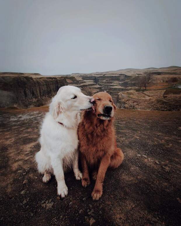 He Was Not Expecting That Kiss... Lol!