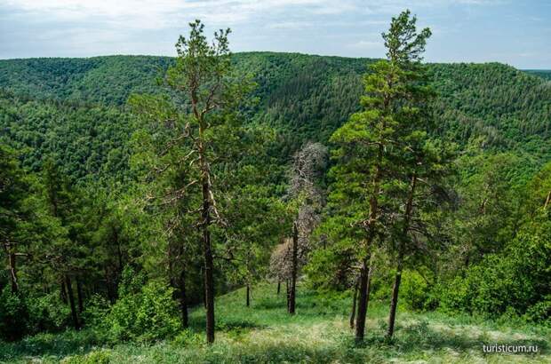 Красоты России. Прогулка по Жигулевским горам.