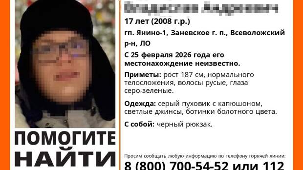 Иногородняя предпринимательница получала угрозы после пропажи сына в Ленобласти