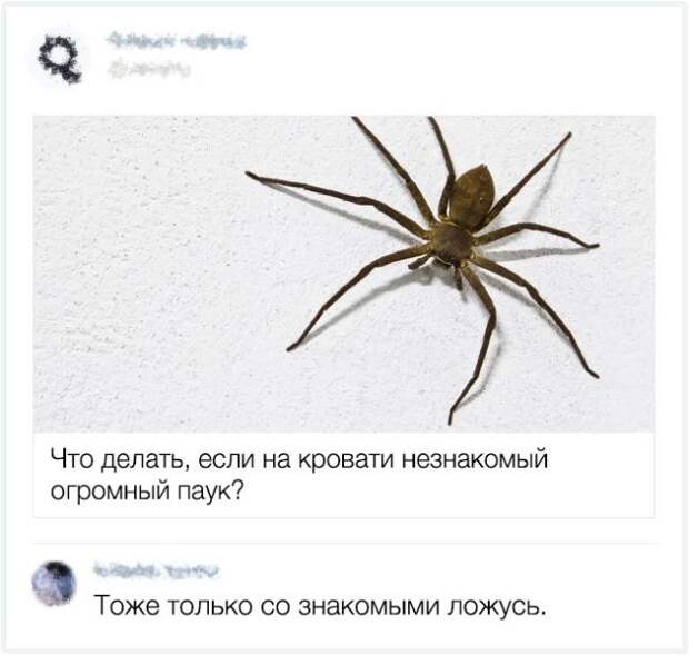 Остроумные комментарии с просторов интернета (16 скриншотов)