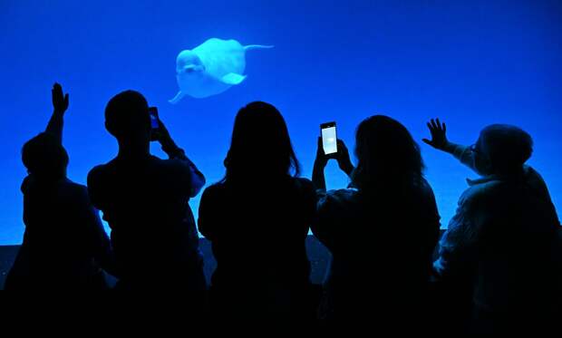 К «Тотальному диктанту» в российском регионе присоединятся необычные участники