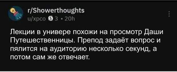 Даша путешественница