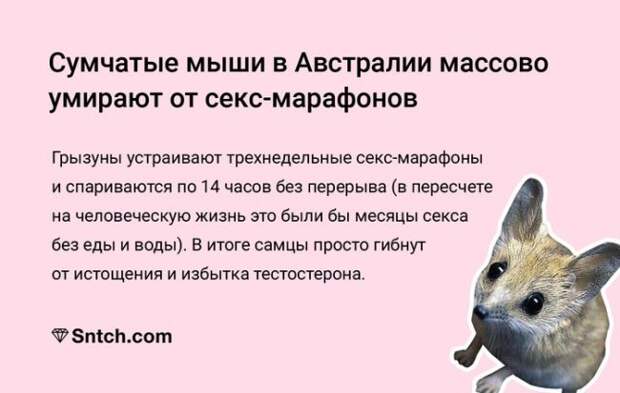 Так вот где весь мой секс